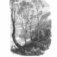 Bois de Meillerie